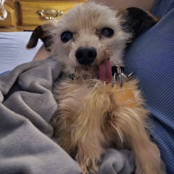 Purchases fund Rizzo's medical care - Picture 5 of 5